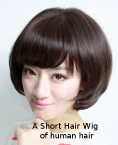 A Short Hair Wig